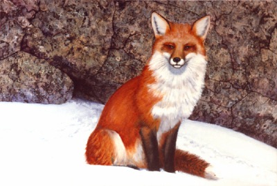 The Wait Red Fox, oil painting by Frank Wilson